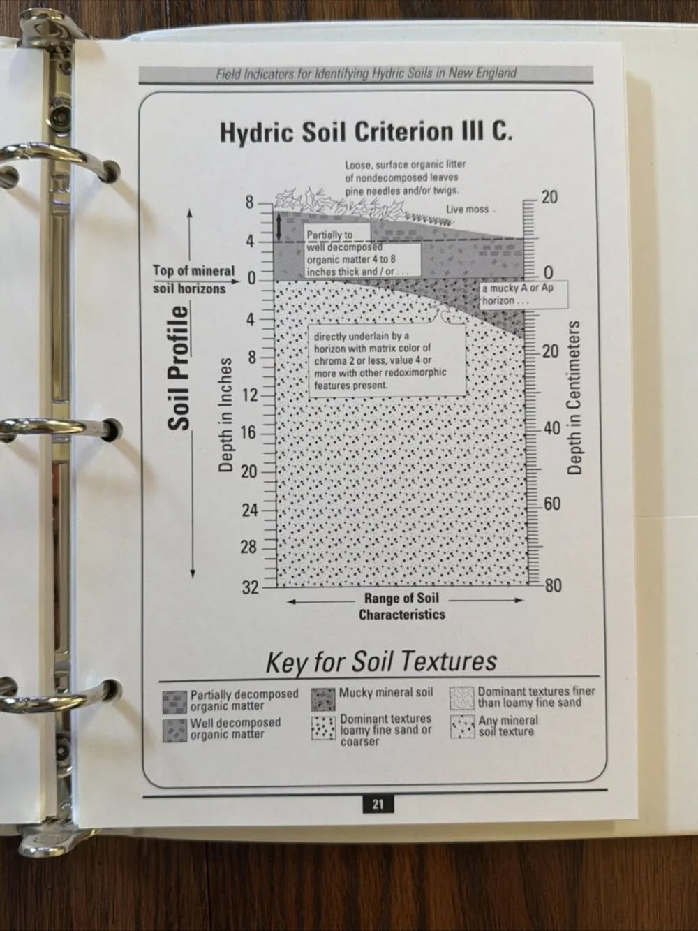 Field Indicators For Identifying Hydric Soils In New England Version 1 May 1995‎